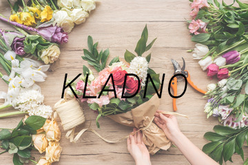 kladno